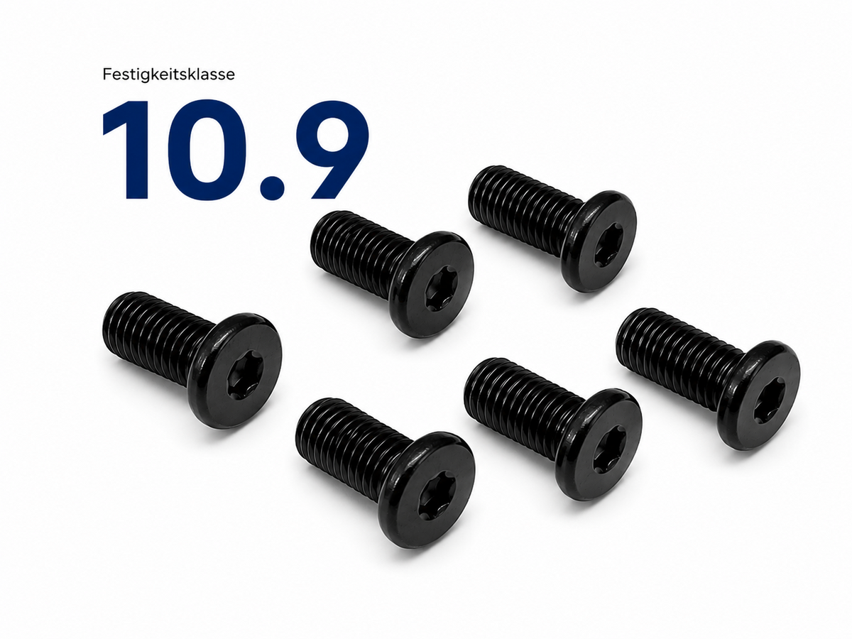 6x Bremsscheibenschrauben M8x16 TX30 10.9 für MZ ETZ Kanuni – Produktansicht 1