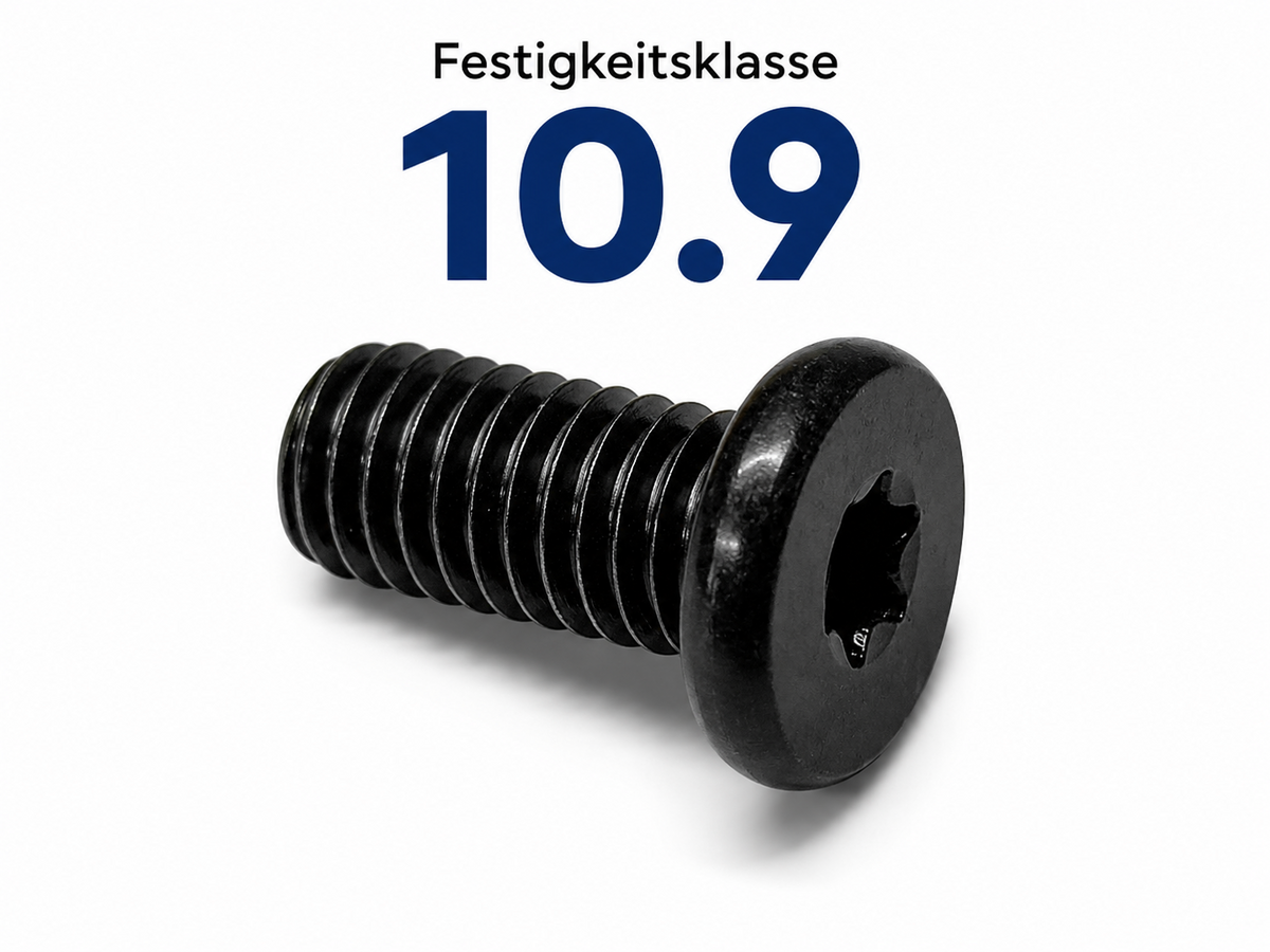 6x Bremsscheibenschrauben M8x16 TX30 10.9 für MZ ETZ Kanuni – Produktansicht 3