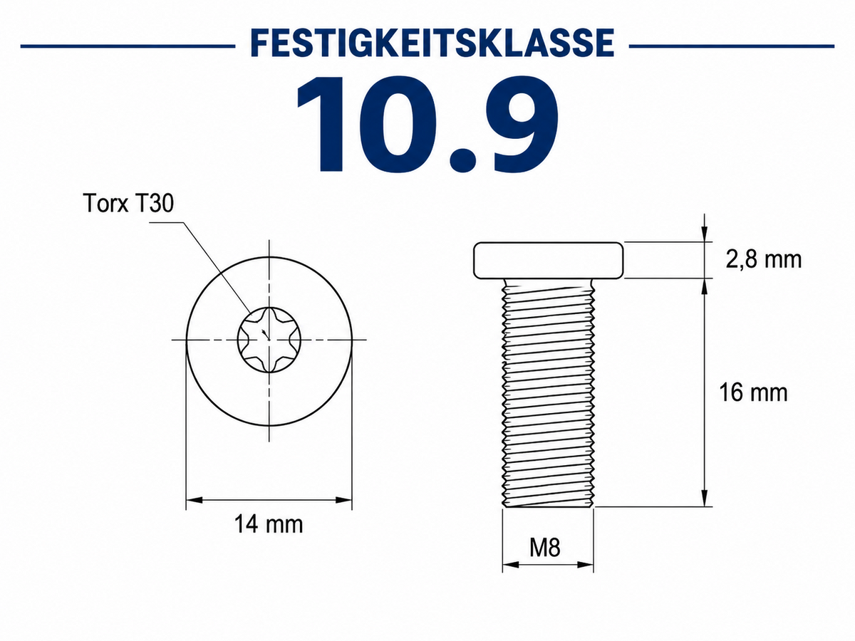 6x Bremsscheibenschrauben M8x16 TX30 10.9 für MZ ETZ Kanuni – Produktansicht 5